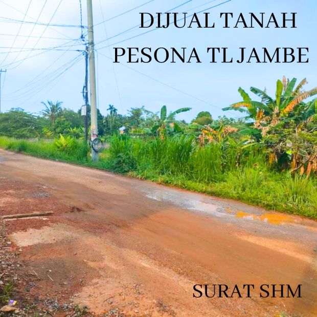 Jual Tanah Kapling Siap Bangun Lokasi Tl Jambe