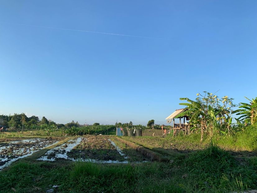 Dijual Sebidang Tanah Kawasan Banjar Anyar Dengan View Sawah