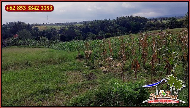 Pinggir Jalan Aspal Are Tanah Di Tabanan Bali