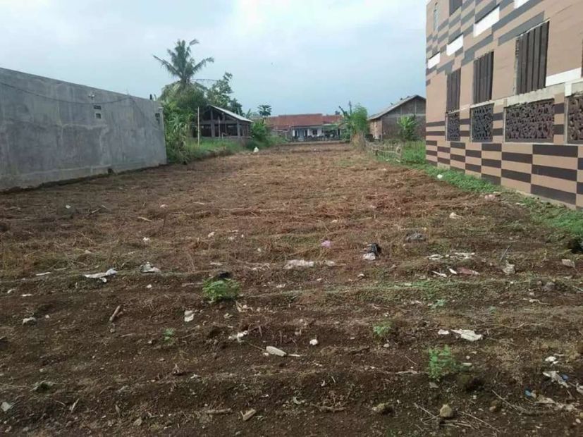 Tanah Kompleks Kampus Unsoed Purwokerto