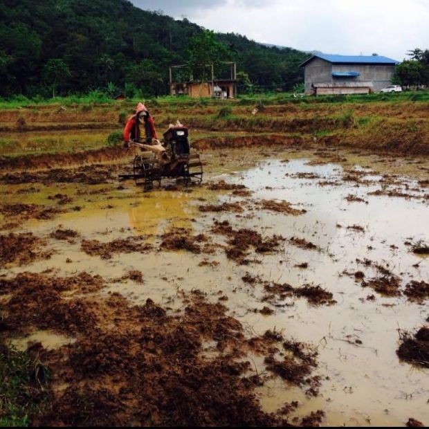 Lahan Kavling Cigudeg Jasinga Bogor Pinggir Jalan Raya