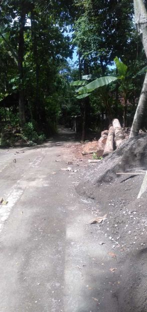 Kode TP 5039 Tanah Pekarangan Bagus Murah Di Pandak Bantul Yogyakar