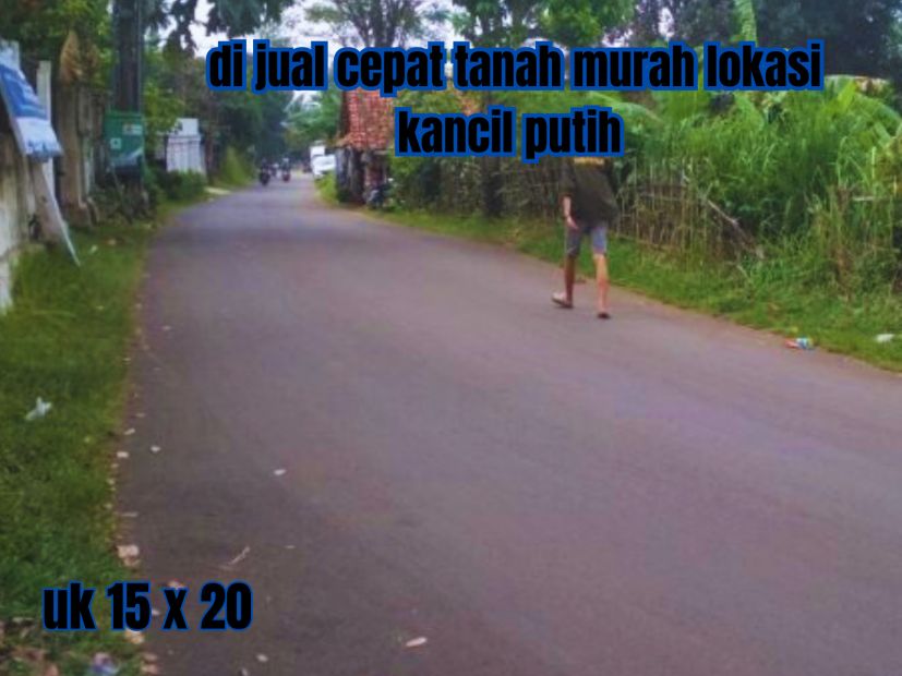 Lokasi Di JL Kancil Putih Demang Lebar Daun