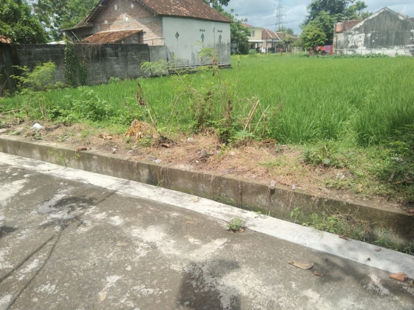 Kode Ts Tanah Sawah Menarik Di Pendowoharjo Sewon Bantul Yogyaka