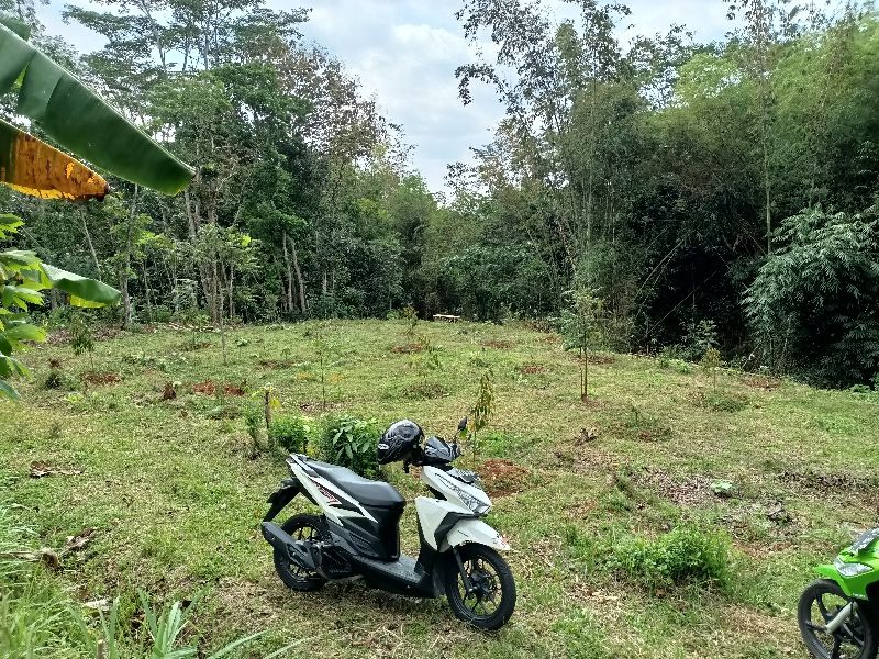 Kebun Buah Murah Mojogedang