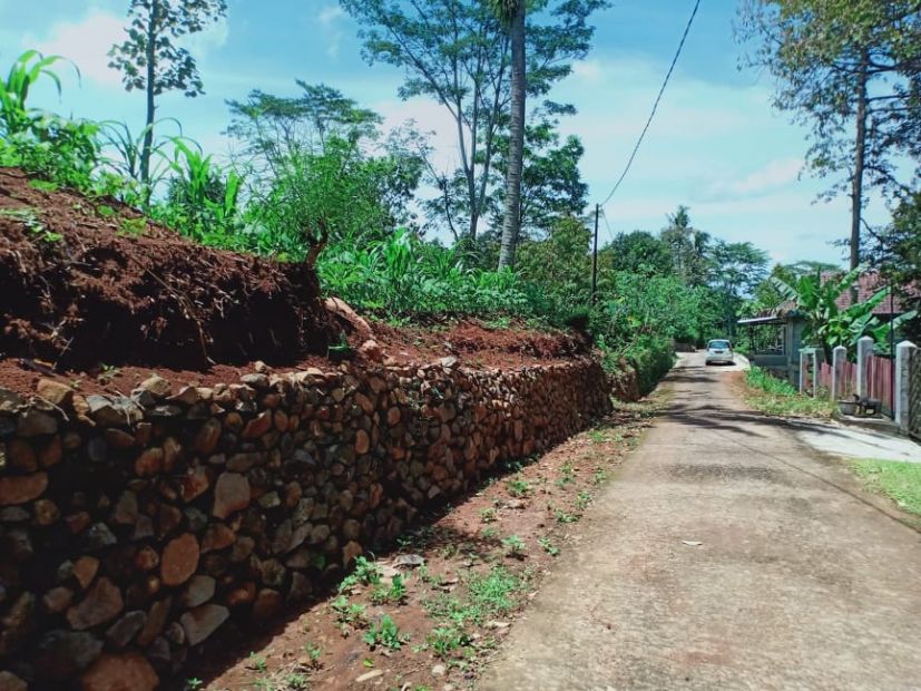 Tanah Datar Cocok Dibangun Homestay Kebun Buah Mojogedang Karanganyar