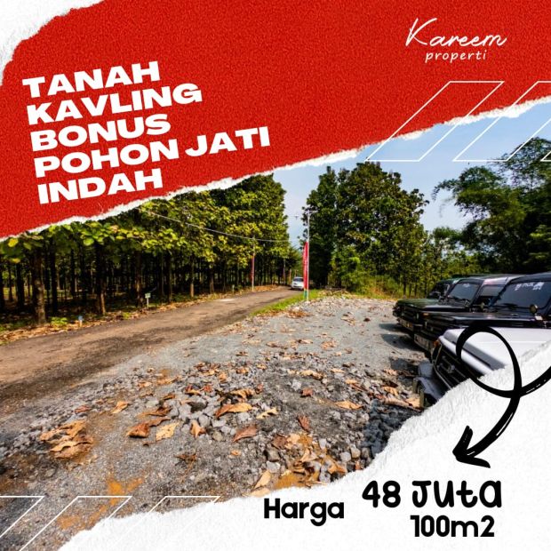 Jual Cepat Tanah Pinggir Jalan Bonus Pohon Jati Kareem Properti Cibubur