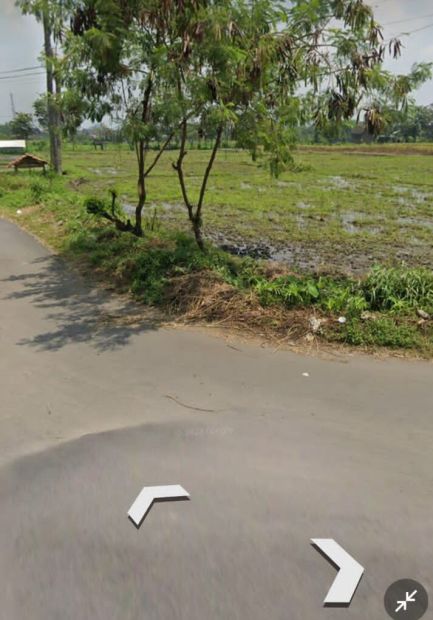 Kode TS394 Tanah Sawah Mangku Jalan Aspal Di Godean Sleman Yogyakarta