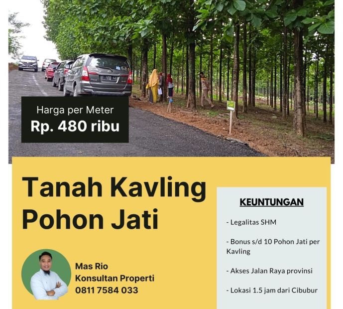 Jual Tanah Kavling Murah Surat SHM Lokasi Pinggir Jalan Provinsi Kareem