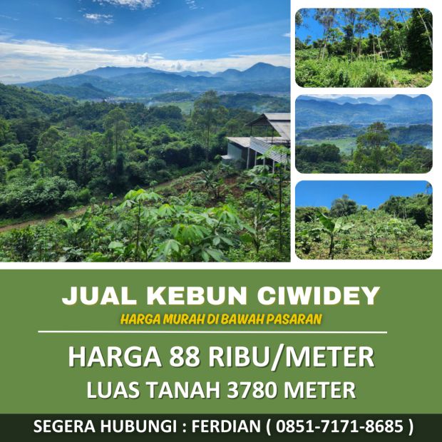 Jual Kebun Ciwidey Bandung