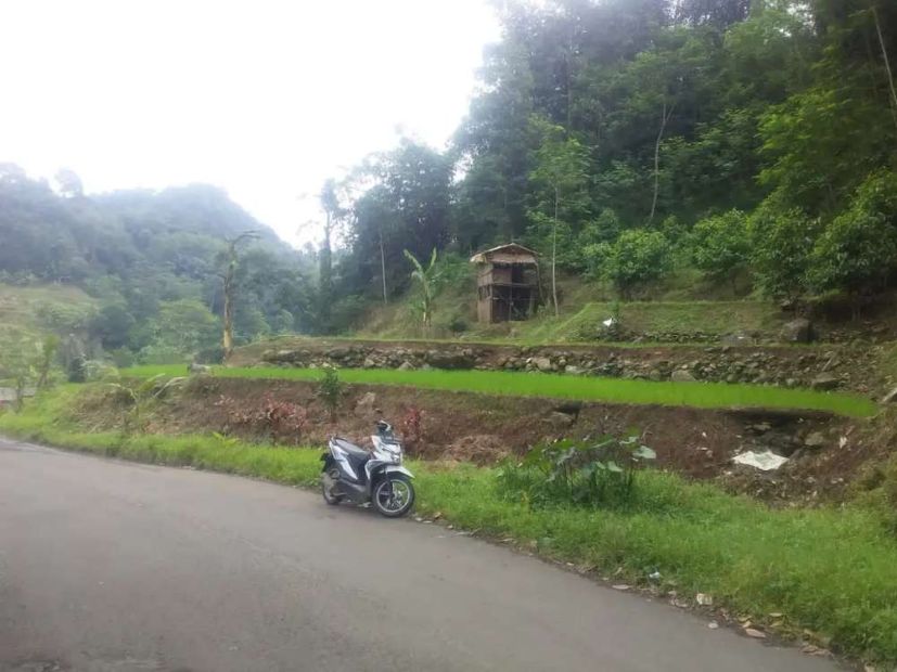 Jual Tanah Murah LT 9000m Girik Nempel Jalan Kabupaten