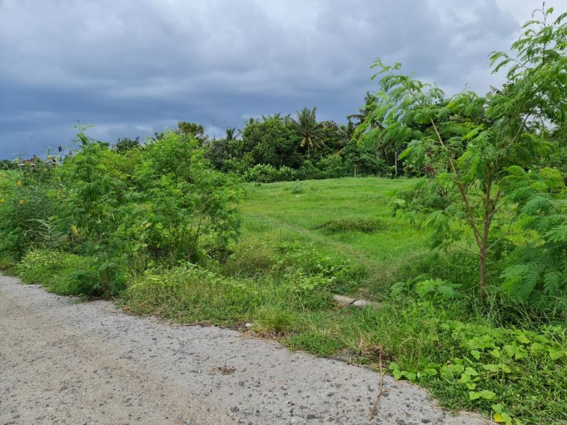 Dijual Sebidang Lokasi Tanah Dikawasan Premium Pantai Kedungu