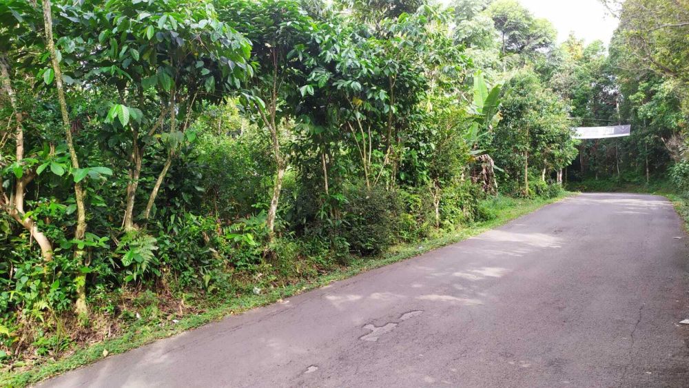 Dijual Murah Tanah Pinggir Jalan Desa Cocok Untuk Rumah Dan Berkebun