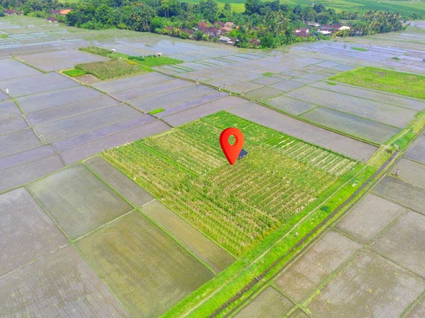 Dijual Tanah Lokasi Pantai Kelating Tabanan