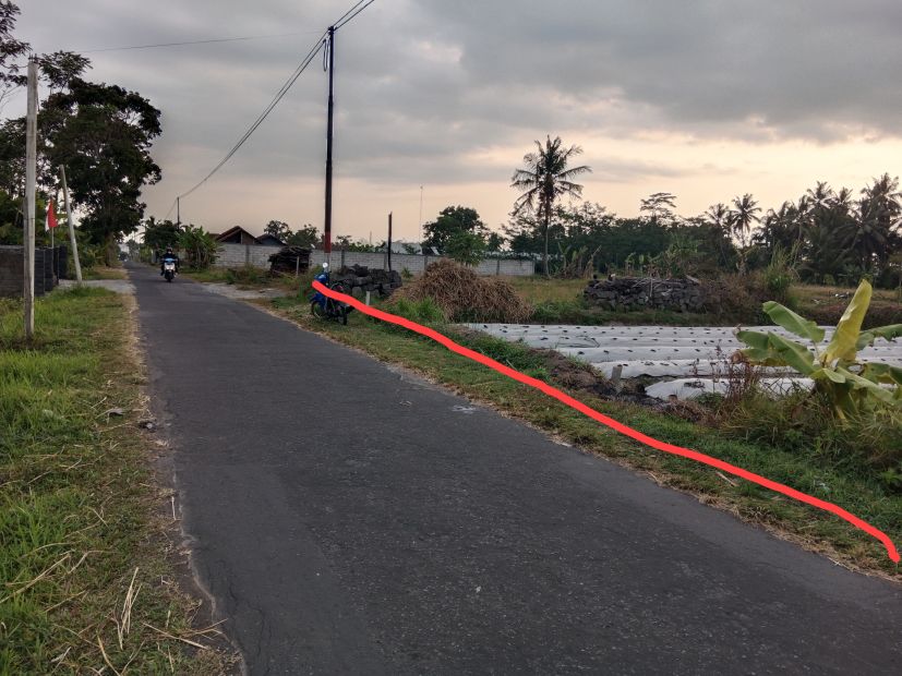 Jual Sawah Lokasi JL Magelang KM 17 Sleman