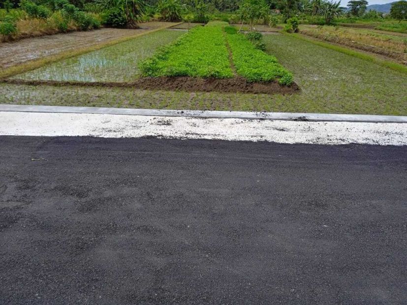 Jual Tanah Kulon Progo View Sawah Dan Pegunungan