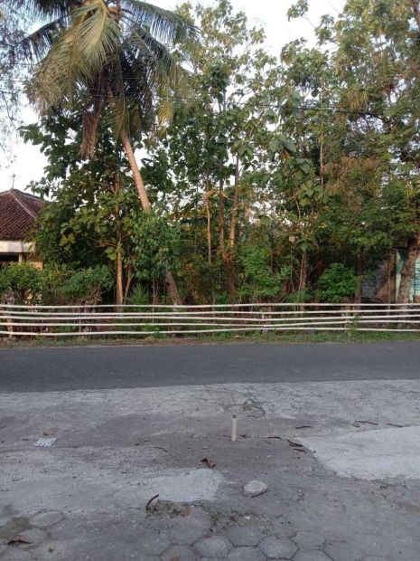 Kode TP1697 Tanah Pekarangan Bagus DI Kasihan Bantul Yogyakarta