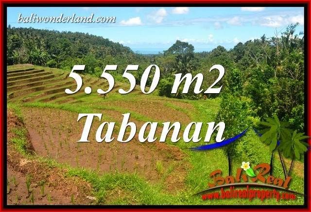 View Laut Dan Sawah 5 550 M2 Di Tabanan Selemadeg