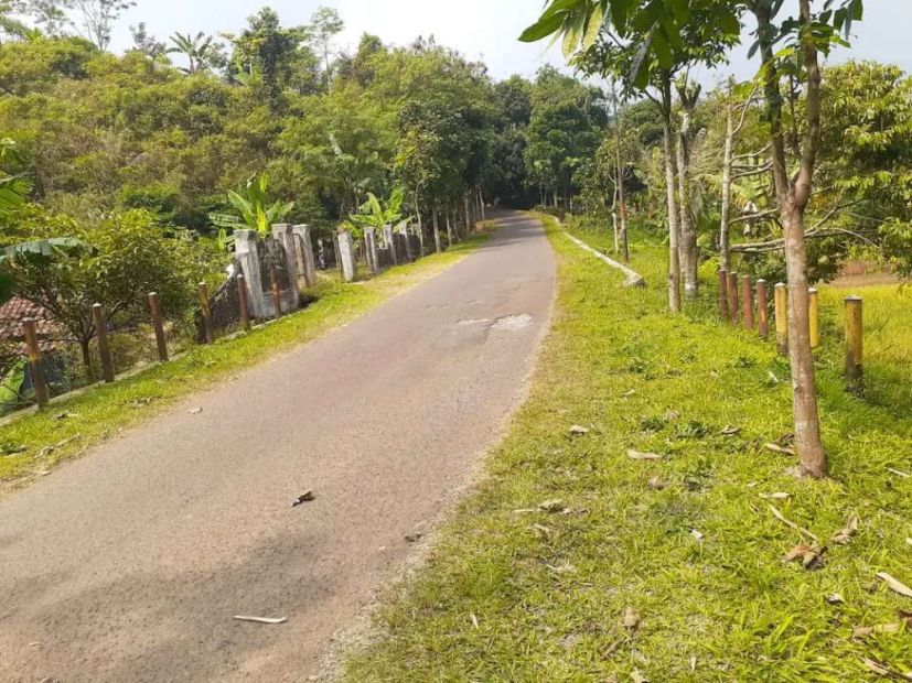 Dijual Sawah Pinggir Jalan Desa