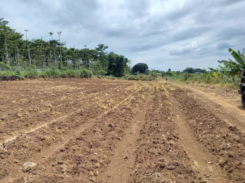 Lahan Yang Cocok Untuk Perkebunan Dan Peternakan