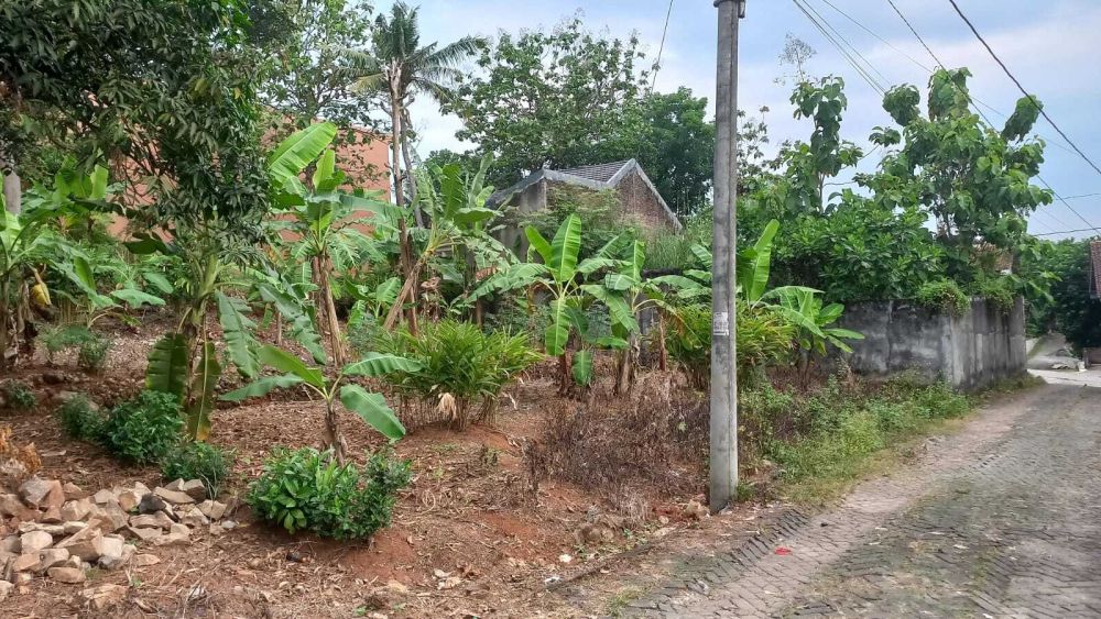 Tanah Dekat Undip Tembalang Area Mulawarman Shm Ready Siap Bangun