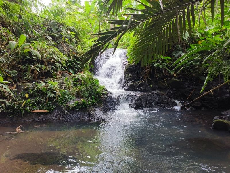 Tanah Murah Los Sungai Dan Air Terjun Di Tabanan Bali