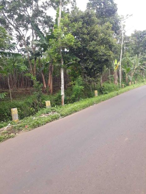 Lahan Potensial Dan Murah Cocok Untuk Cluster Lokasi Di Kab Malang