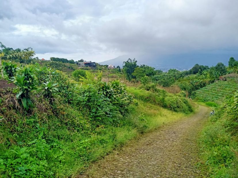 MURAH SANGAT Tanah Kebun Pinggir Jalan SHM View Ajib Bumiaji Kota Batu