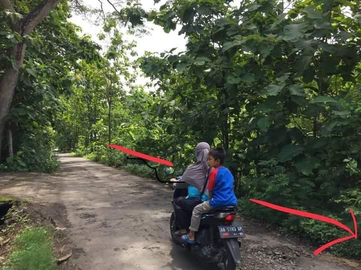 Kode TP 4068 Tanah Pekarangan Luas Murah Di Sentolo Kulon Progo