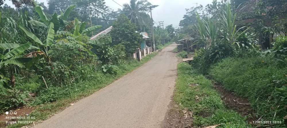 Dijual Lahan Kebun Pinggir Jalan Desa 1070 Meter