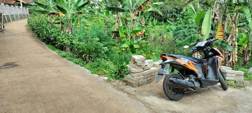 Jual Kebun Pinggir Jalan Cor Desa Darangdan