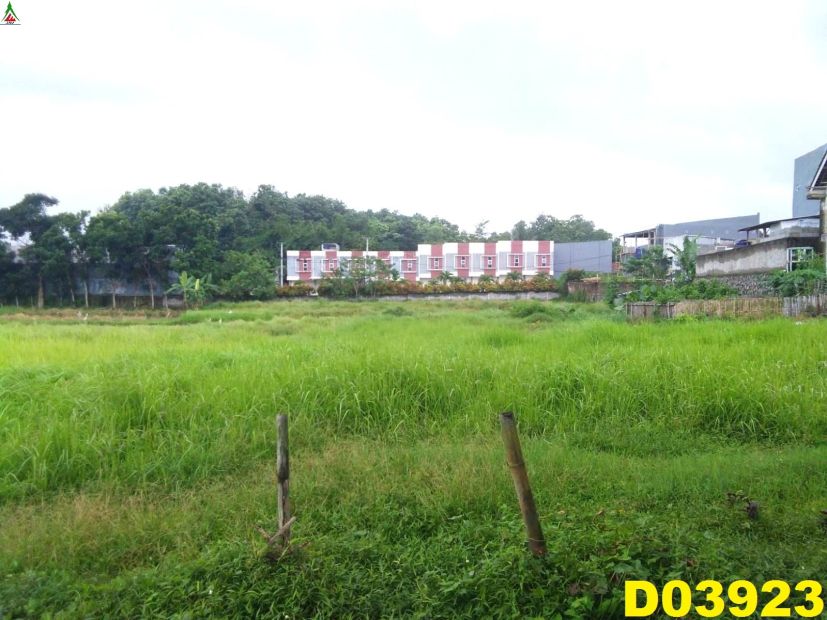 Dijual Tanah Hektar Lokasi Strategis Di Tenjo Bogor