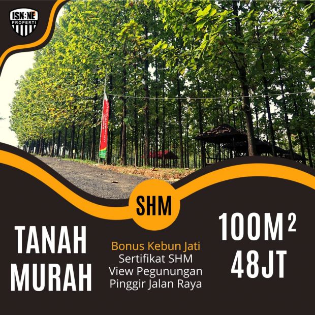 JUAL CEPAT TANAH DARAT BONUS KEBUN JATI PINGGIR JALAN RAYA