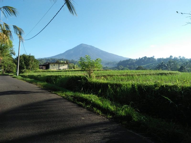 Tanah Kebun View Gunung Sawah Dan Los Sungai Di Bali