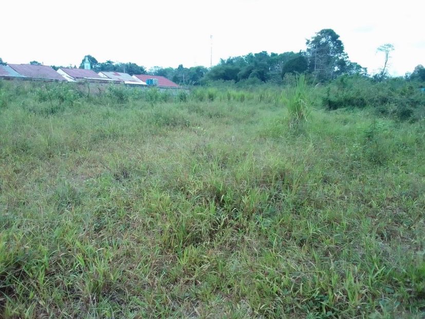 Dijual Tanah Untuk Bangun Perumahan Muara Dua Kota Prabumulih