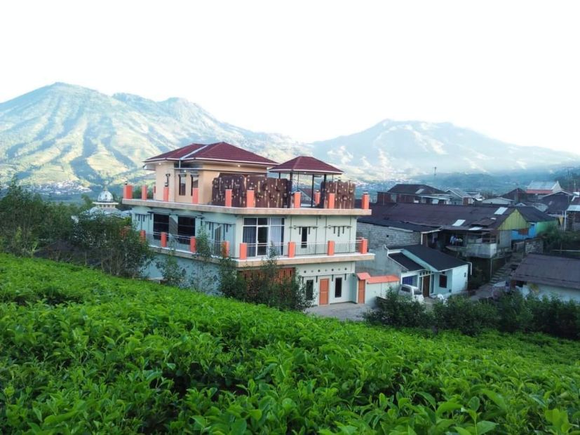 Villa Mewah Kompleks Wisata Tambi Kejajar Wonosobo View Kebun Teh