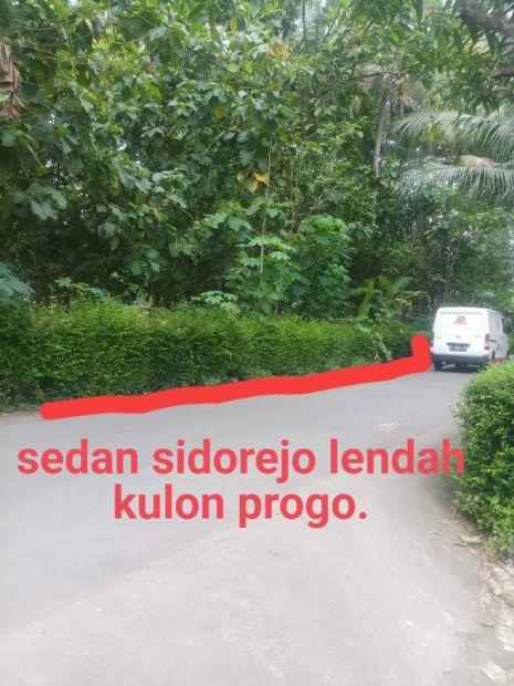 Kode Tp Tanah Pekarangan Pinggir Jalan Aspal Murah Di Lendah K