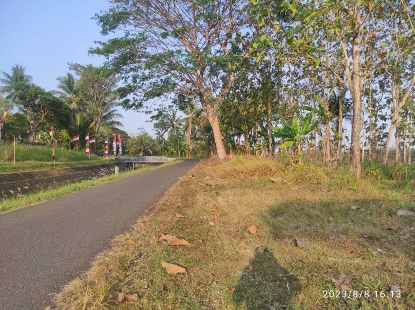 JUAL TANAH KULON PROGO DI BANJARARUM KALIBAWANG VIEW SAWAH DAN SUNGAI