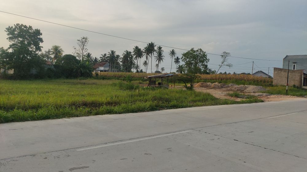 TANAH LUAS NEMPEL JALAN ASPAL JALUR 2 KAMPUS ITERA