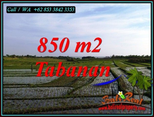 View Sawah Gunung Dan Laut M Di Selemadeg Timur