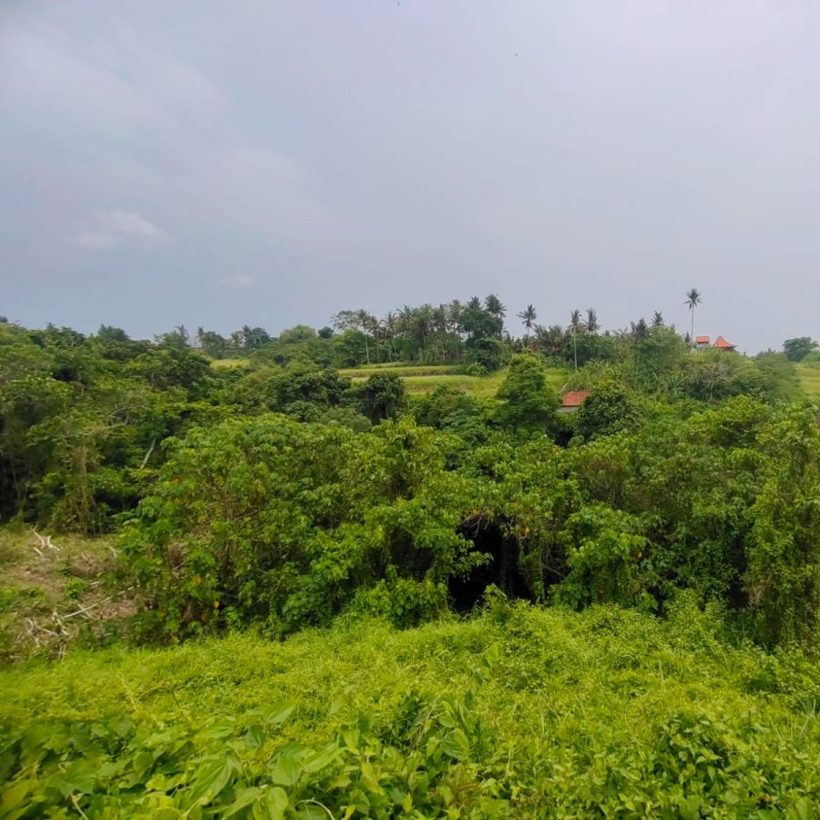 Tanah Di Ubud View Cantik Jungle Lembah Dan Sungai Dijual Waa2