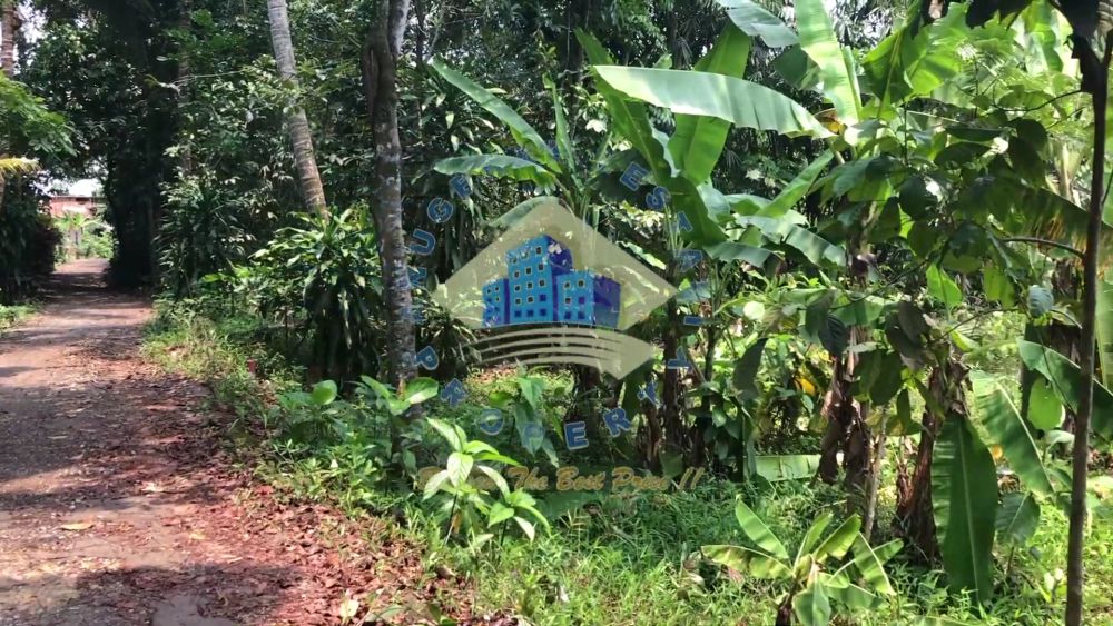 Dijual Tanah Kebun Di Jl Ds Cikopomayak - Jasinga, Bogor