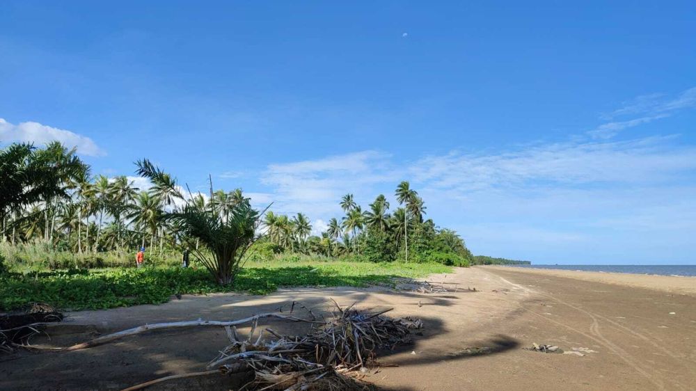 Lahan di pesisir pantai penajam Kalimantan Timur