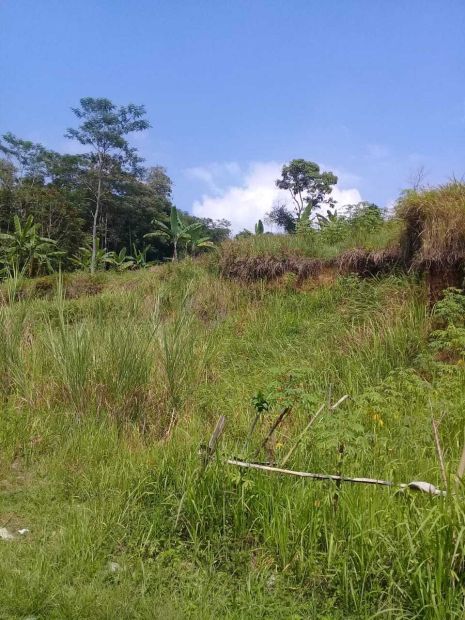 Jual Tanah Lokasi Desa Lebak Sarikec Parakan Salak Sukabumi