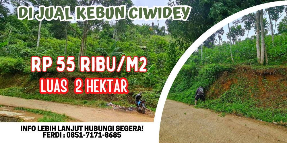 Jual Kebun Murah Akses Mobil