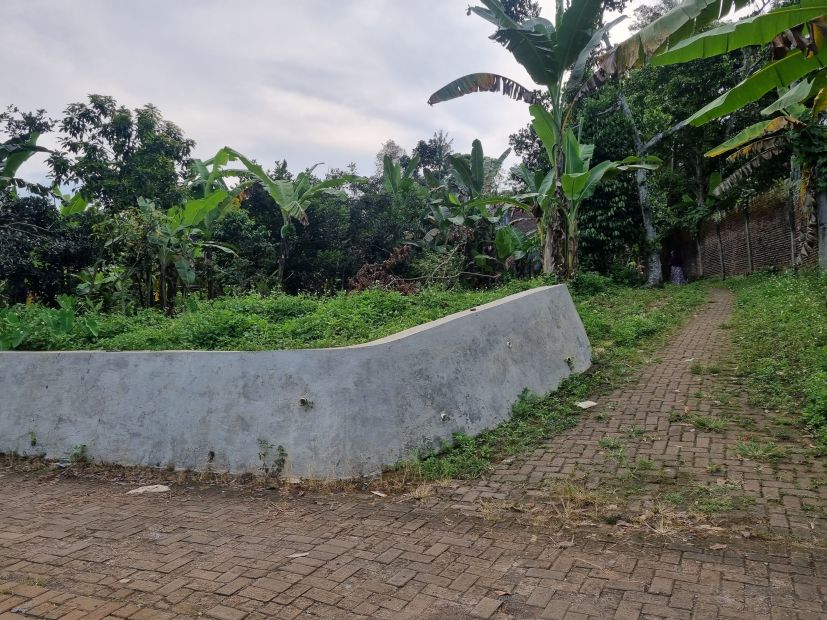 5 Menit Pasar Mijen Semarang Dijual Tanah Murah, SHM Ready