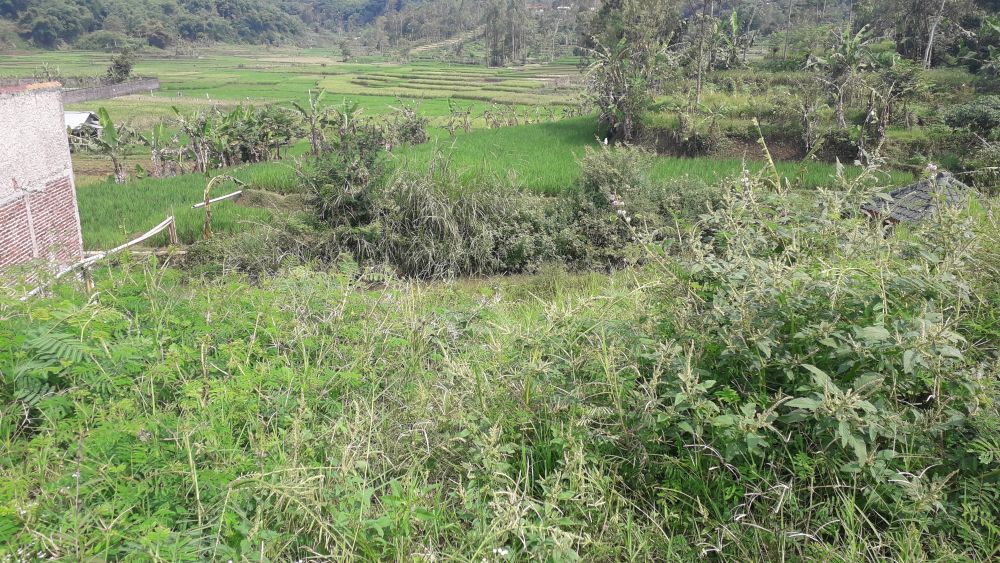 Di jual  Tanah di daerah  bayongbong garut 