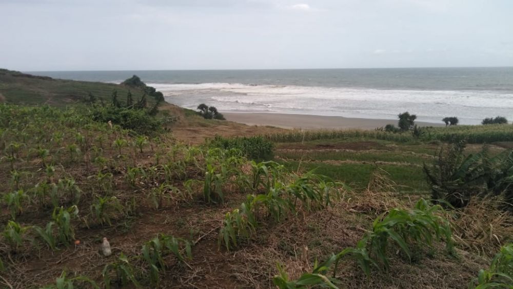 Jual tanah  pinggir  pantai  30 000 m2 Cocok untuk villa 