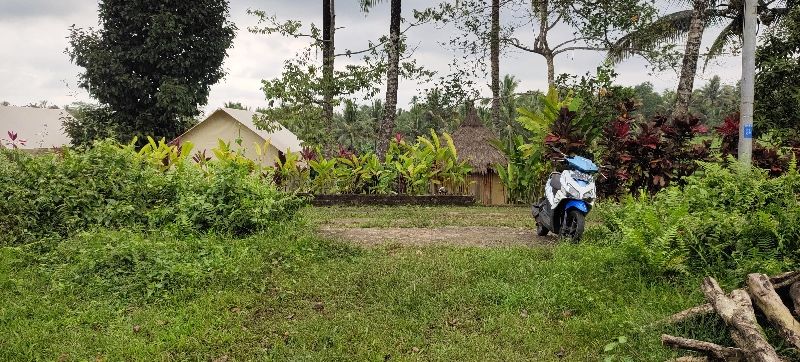 Tanah Kebun View Sawah Terasering Dan Laut Dekat Villa Di Bali