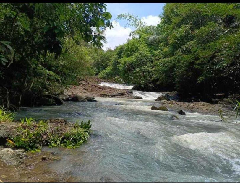 Jual Lahan Kebun Jati Los Sungai Di Gunung Salak Tabanan